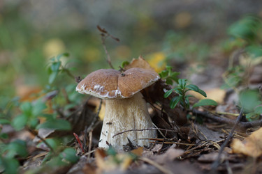 Similar image 22626886