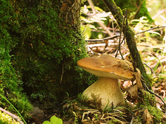 Similar image 22626887