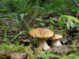 Similar image 22626888