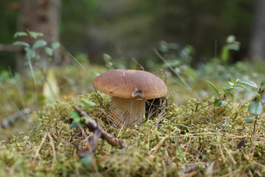 Similar image 22626902