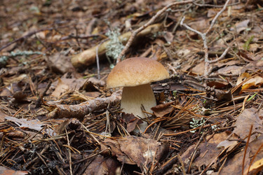 Similar image 22626903