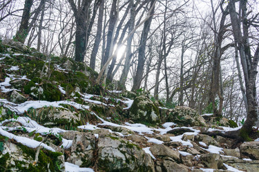 Similar image 22627987