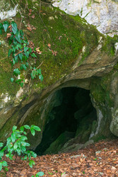 Similar image 22627992