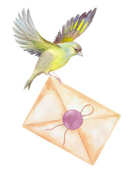 Similar image 22633384