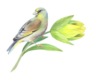 Similar image 22633386