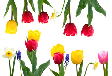 Similar image 22627858