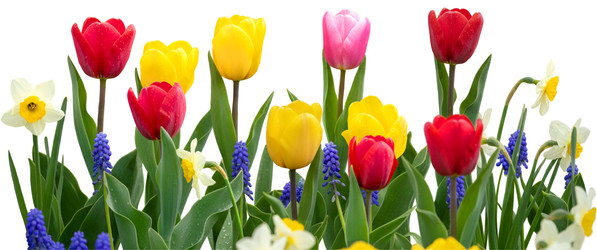 Similar image 22627859