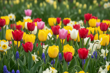 Similar image 22627860