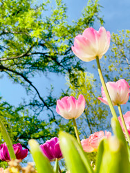 Similar image 22629685