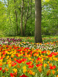 Similar image 22629693