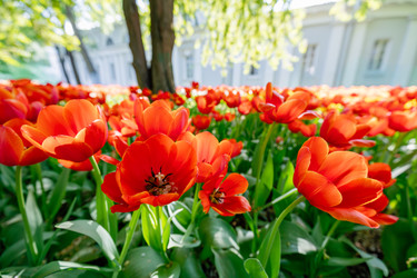 Similar image 22629545