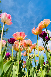 Similar image 22629554