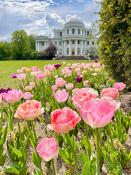 Similar image 22629590