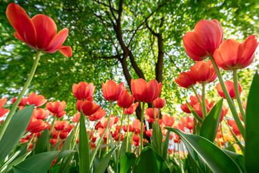 Similar image 22629594