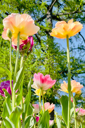 Similar image 22629595