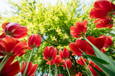 Similar image 22629605