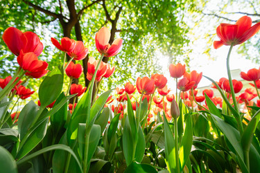 Similar image 22629614