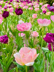 Similar image 22629618