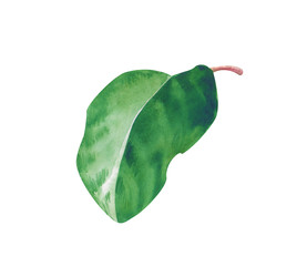 Similar image 22633443