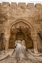 Similar image 22635537