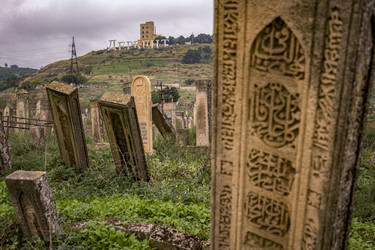 Similar image 22632210