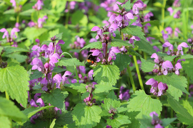 Similar image 22627869