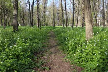 Similar image 22627870