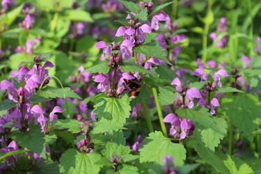 Similar image 22627871