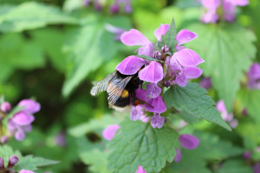 Similar image 22627872