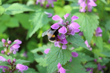 Similar image 22627888