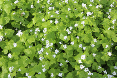 Similar image 22627889