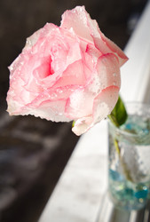 Similar image 22635565