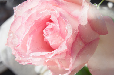 Similar image 22635567