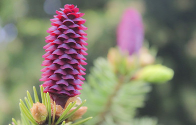 Similar image 22635568