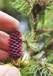 Similar image 22635569