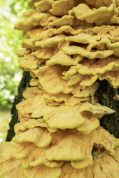 Similar image 22635570