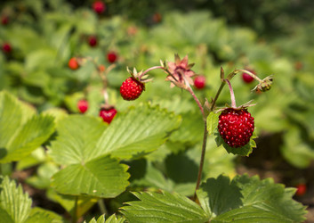 Similar image 22630381