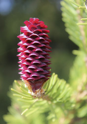 Similar image 22635571