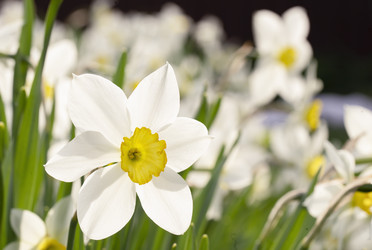 Similar image 22635572