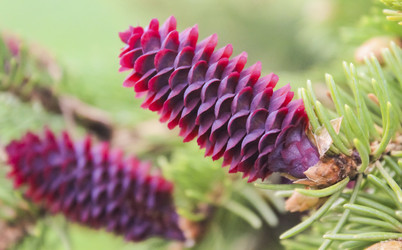 Similar image 22635573