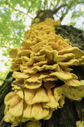 Similar image 22635574