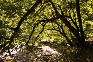 Similar image 22635576