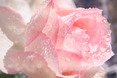 Similar image 22635577