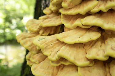 Similar image 22635582