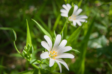 Similar image 22635583