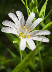 Similar image 22635584