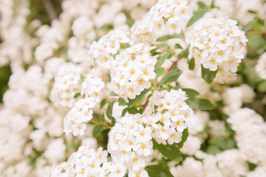 Similar image 22635585