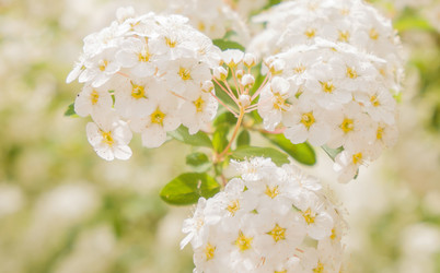 Similar image 22635586