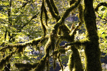 Similar image 22635587