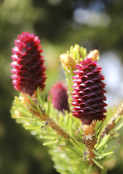 Similar image 22635588